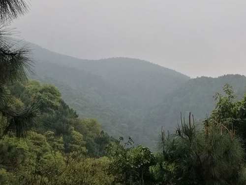 风水案例6图